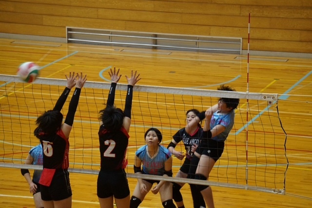 兵庫県ヤングバレー大会